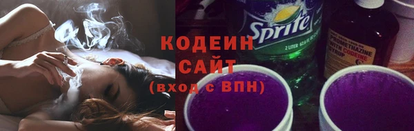 индика Магас