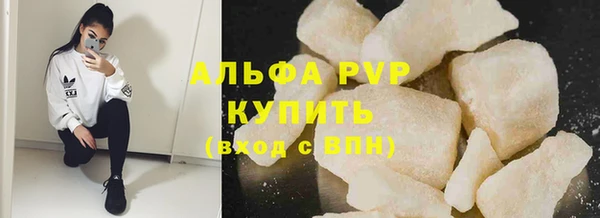 индика Магас