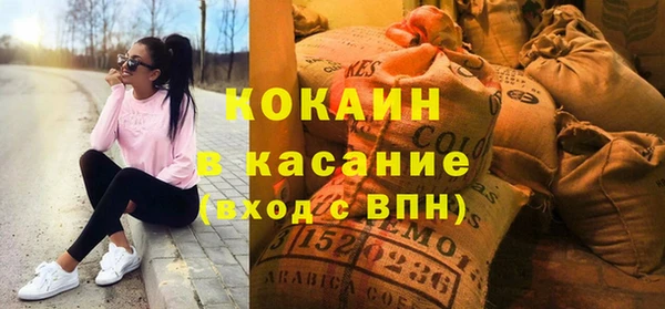 индика Магас