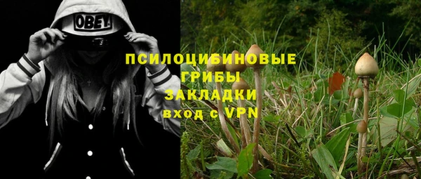 индика Магас