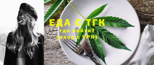 индика Магас