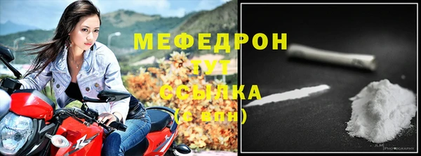индика Магас