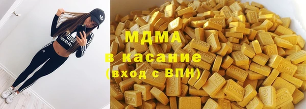 индика Магас